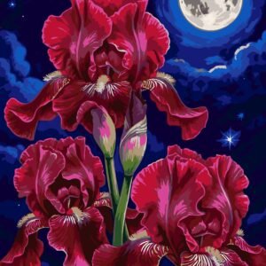 Tapymas pagal skaičius "Irisai" ant porėmio