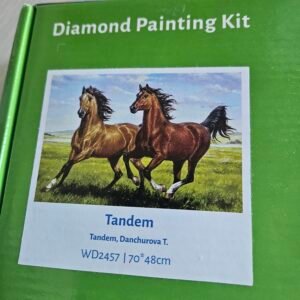 Deimantinė mozaika "ARKLIAI" (WIZARDI)