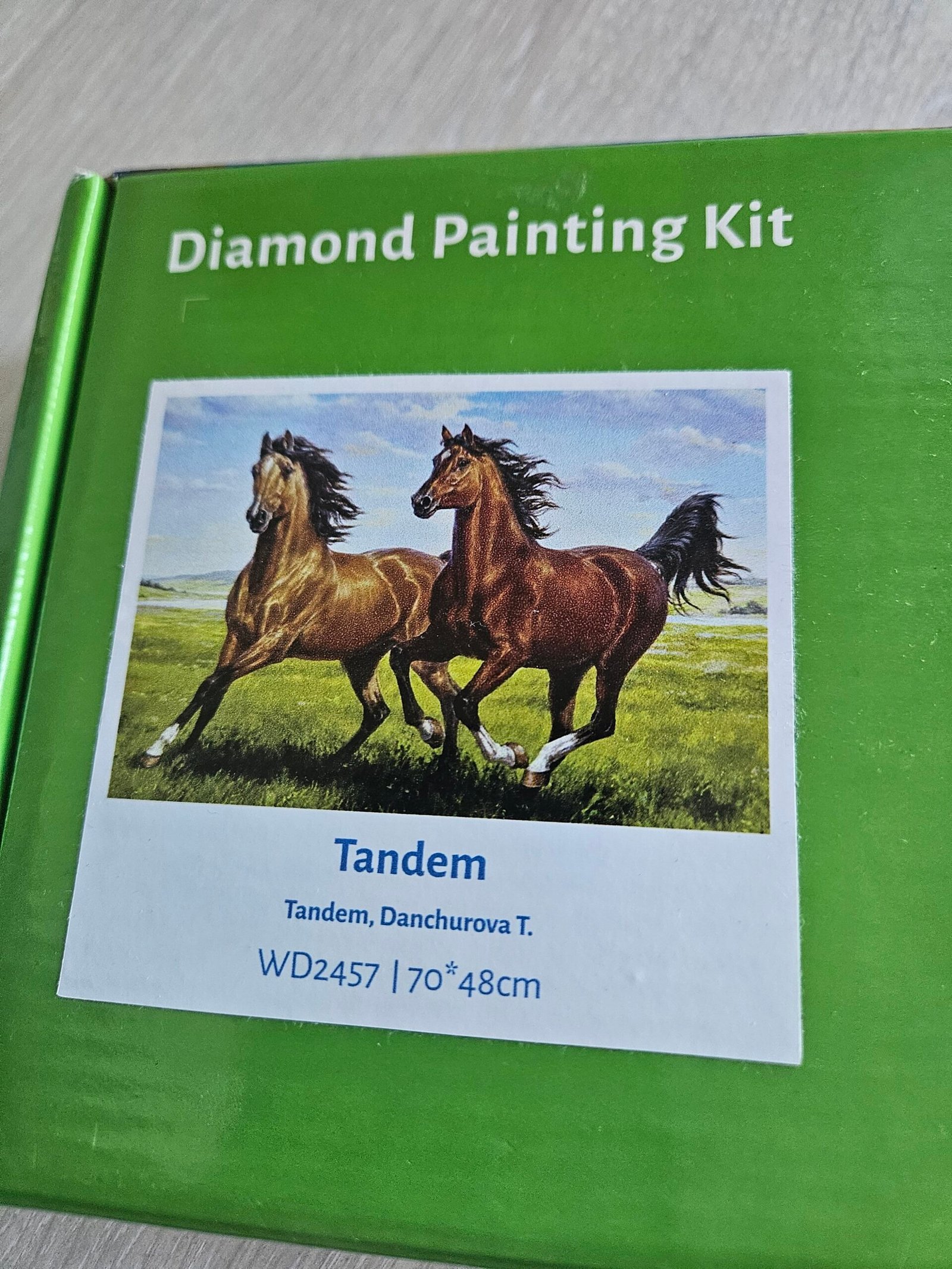 Deimantinė mozaika "ARKLIAI" (WIZARDI)